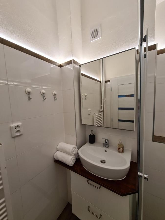 Svetly Prostorny Byt V Karline Apartment ปราก ภายนอก รูปภาพ