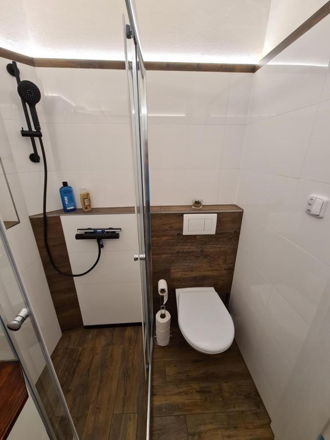 Svetly Prostorny Byt V Karline Apartment ปราก ภายนอก รูปภาพ