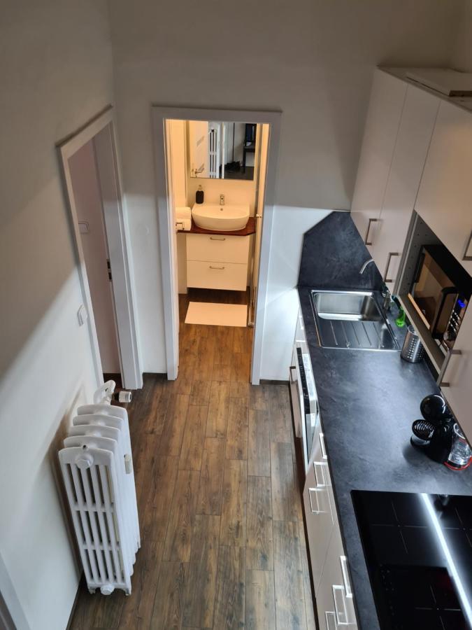 Svetly Prostorny Byt V Karline Apartment ปราก ภายนอก รูปภาพ