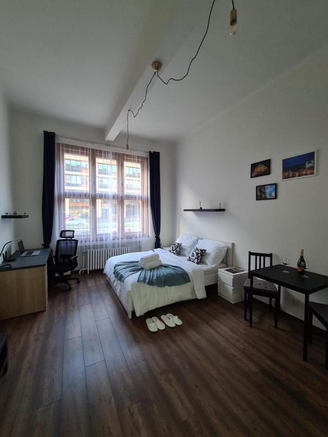 Svetly Prostorny Byt V Karline Apartment ปราก ภายนอก รูปภาพ