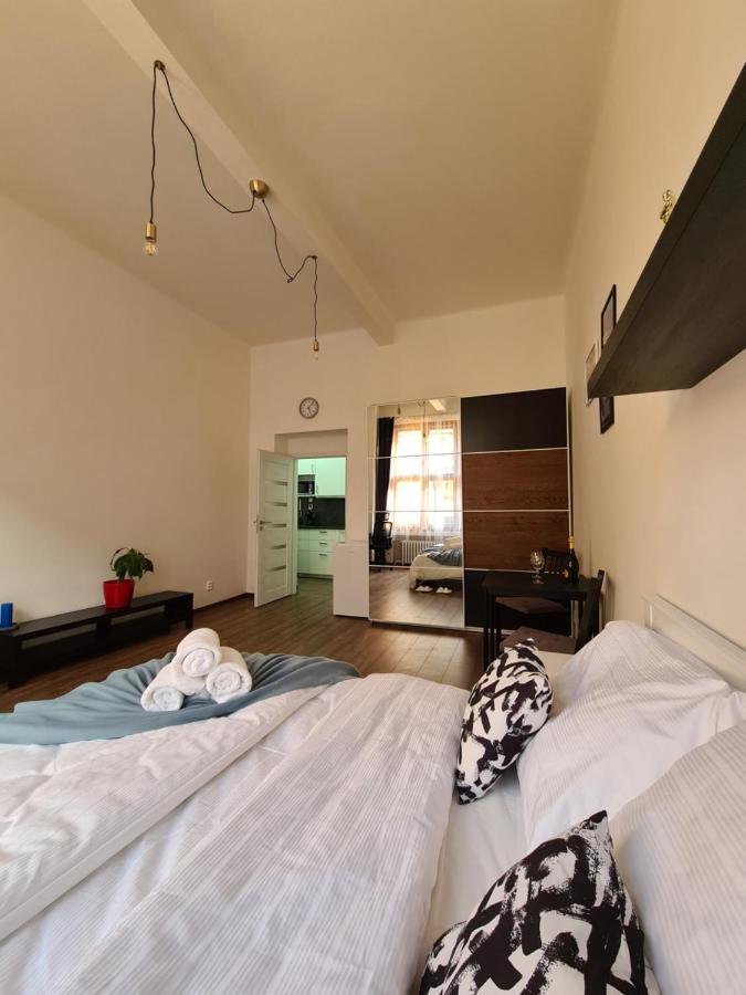Svetly Prostorny Byt V Karline Apartment ปราก ภายนอก รูปภาพ